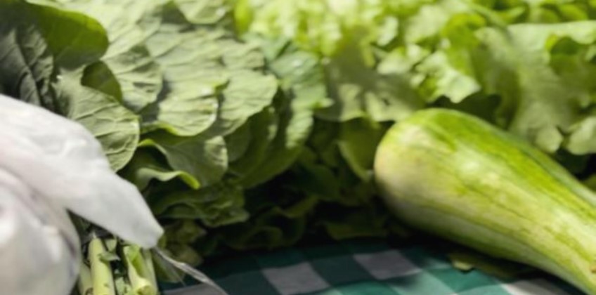 Nova Feira da Roça de Volta Redonda tem programação especial para 2026